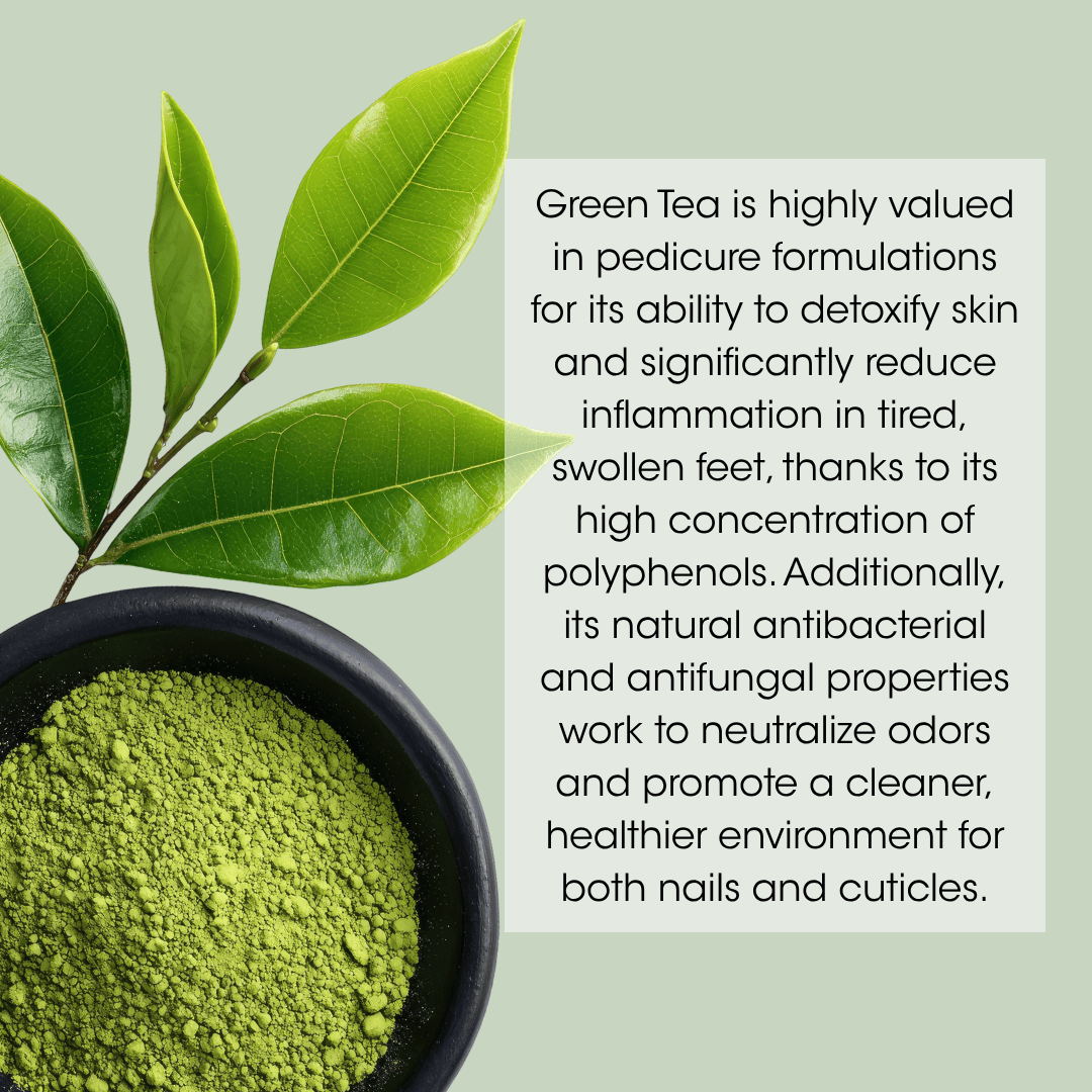 Green Tea Deluxe 4 Step Pedicure - 1 Gallon - Image 8