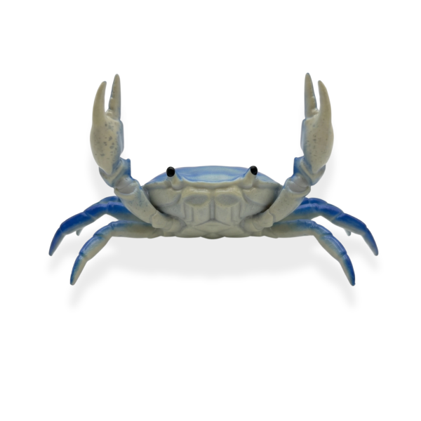 DeEnti Dennis the Crab Brush Holder