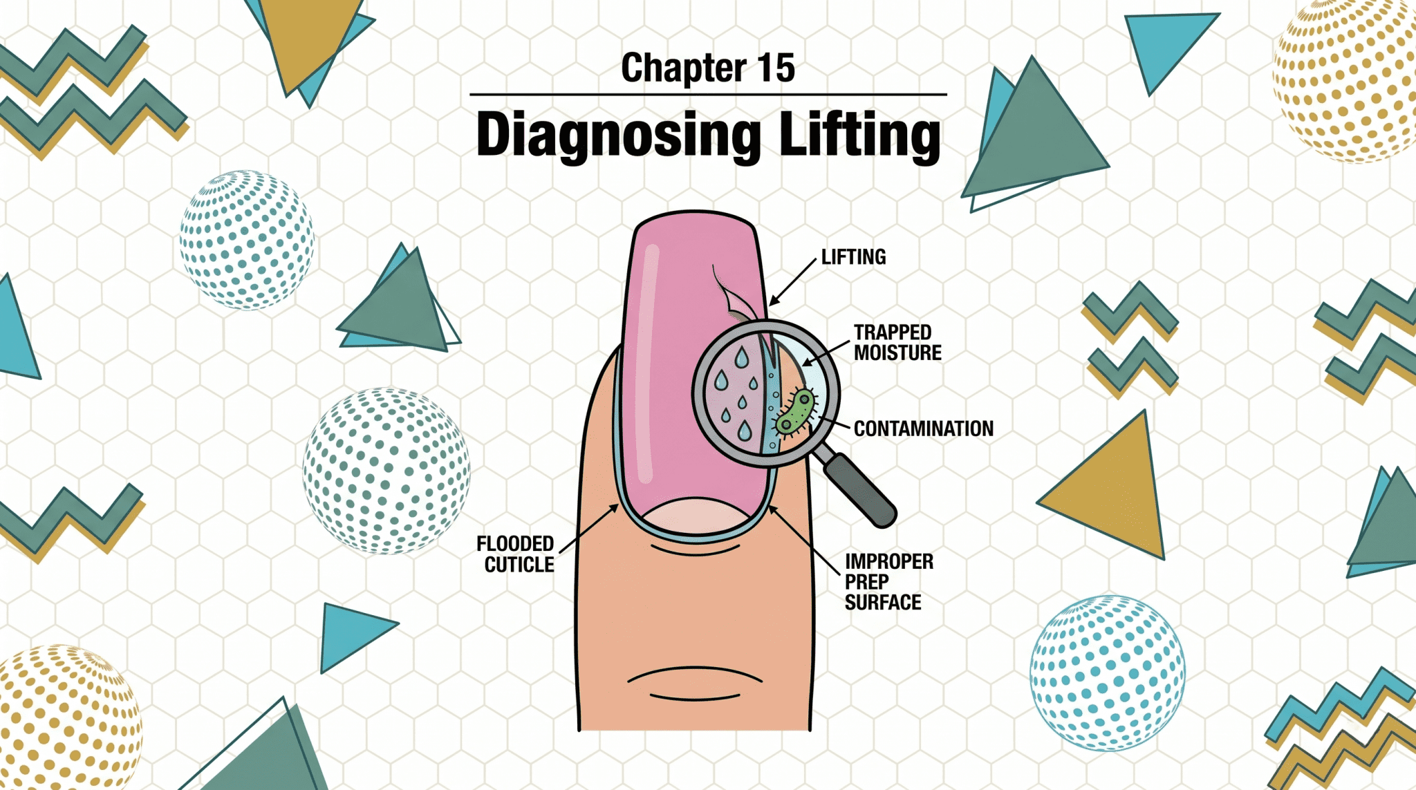 A vector illustration diagram titled 'Chapter 15 Diagnosing Lifting' for a nail technology course. The image features a finger with a pink acrylic nail. The nail is shown lifting at the center. A large magnifying glass is held over the lift, revealing magnified water droplets and small green bacteria organisms beneath the product. Precise arrows and text labels identify key causes: 'FLOODED CUTICLE', 'LIFTING', 'TRAPPED MOISTURE', 'CONTAMINATION', and 'IMPROPER PREP SURFACE'.